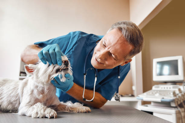 Best Emergency Tooth Extraction in Claryville, KY